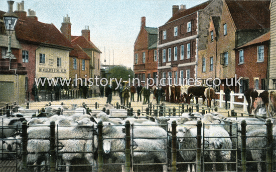 Cattle Market, Waltham Abbey, Essex. c.1905